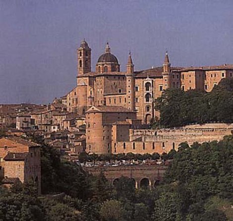 urbino