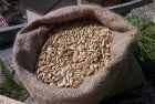 Il Farro Fest