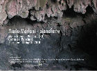 La locandina della performance live di Mario Mariani