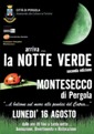 Locandina della manifestazione Notte Verde