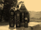 L'olio Dop di Cartoceto