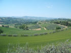 L'area interessata al progetto terme di Carignano