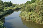 fiume Foglia