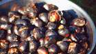 festa castagne