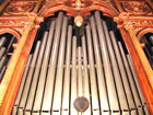 Organo