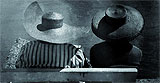 foto di Riccardo Gambelli