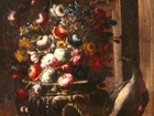Arte ai musei di Pesaro