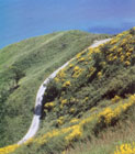 Parco San Bartolo