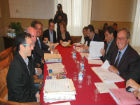 Giunta congiunta