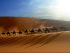 Tunisia