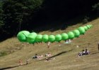 Aquilone sulle pendici del Monte Catria