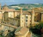 Urbino