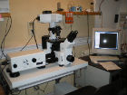 Un microscopio confocale a scansione laser